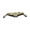 Turtle Decorative Bowl by Ashland®